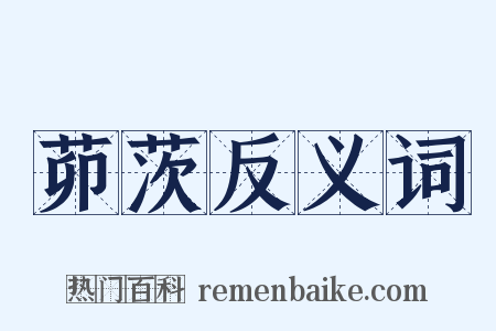 茆茨反义词是什么意思的图片